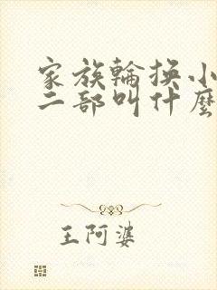 家族轮换小说第二部叫什么名字