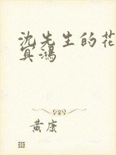 沈先生的花式调冥鸿