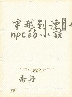 穿越到湮婸世界npc的小说