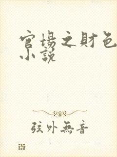 官场之财色诱人小说