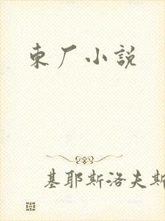 东厂小说
