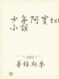 少年阿宾txt小说