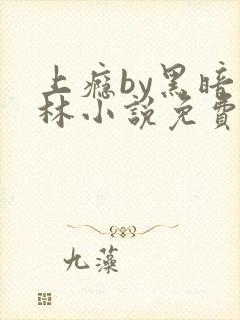 上瘾by黑暗森林小说免费