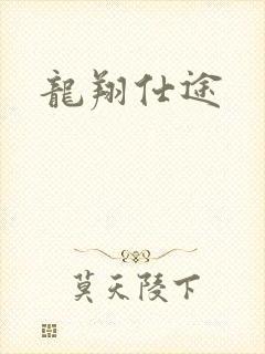 龙翔仕途