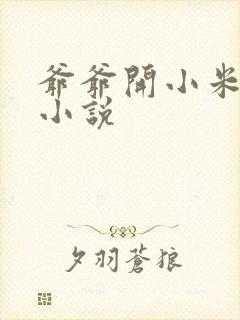 爷爷开小米的包小说