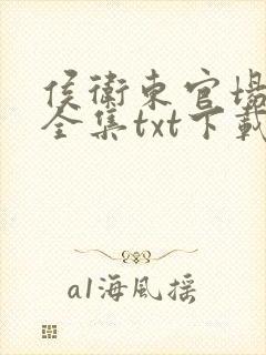 侯卫东官场笔记全集txt下载