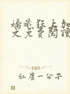 娇藏狂上加狂全文免费阅读笔趣阁