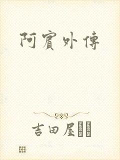 阿宾外传