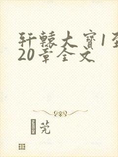 轩辕大宝1至720章全文