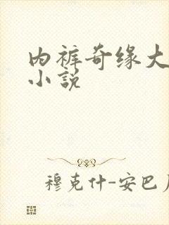 内裤奇缘大团结小说