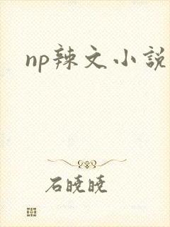 np辣文小说