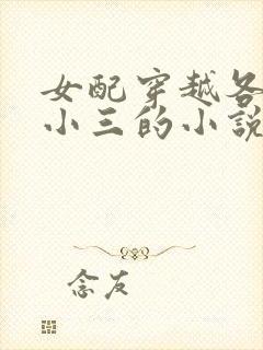 女配穿越各个做小三的小说