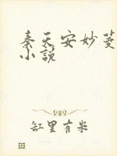 秦天安妙菱修仙小说