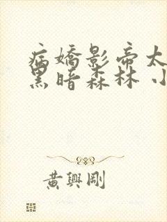 病娇影帝太撩人黑暗森林 小说全文免费阅读