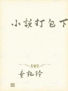 小说打包下载