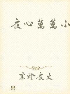 夜心万万小说