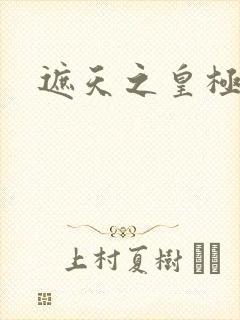 遮天之皇极帝道