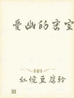 爱幽的密室小说