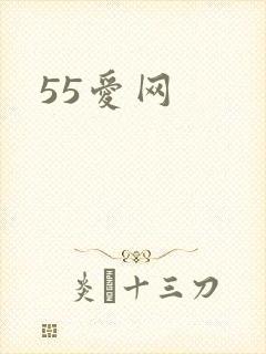 55爱网