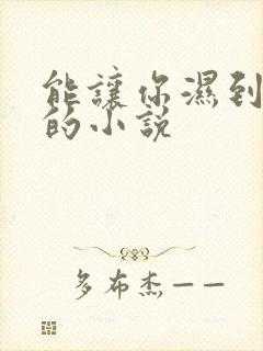 能让你湿到不行的小说