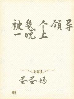 被几个领导玩弄一晚上