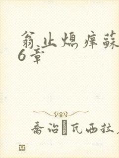 翁止熄痒苏玥第6章