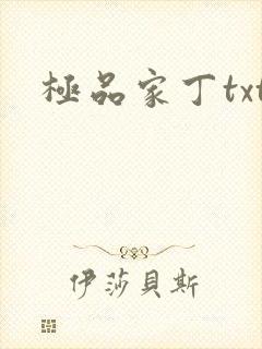 极品家丁txt