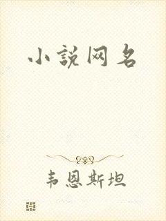 小说网名