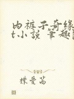 内裤子奇缘txt小说 笔趣阁