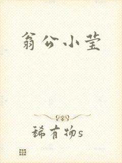 翁公小莹