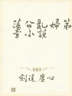 荡公乱妇第51章小说