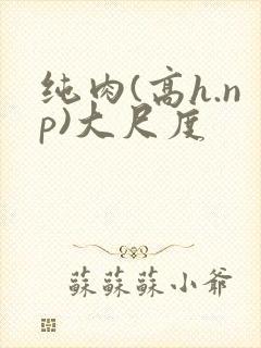 纯肉(高h.np)大尺度