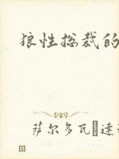 狼性总裁的尤物