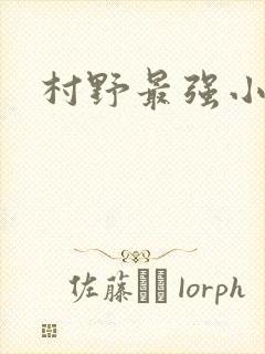 村野最强小农民
