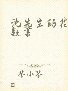 沈先生的花式调数书