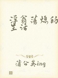 浮翁荡熄的幸福生活