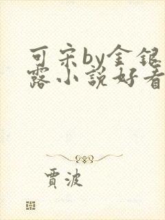 可宋by金银花露小说好看吗