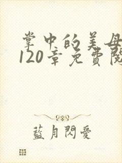 掌中的美母版主120章免费阅读