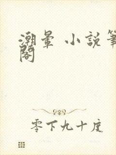 潮晕 小说笔趣阁