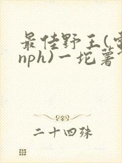 最佳野王(电竞nph)一坨薯饼
