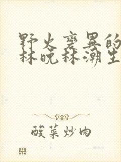 野火变异的父爱林晚林潮生