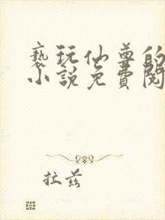 亵玩仙尊的道侣小说免费阅读