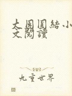 大团圆结小茹全文阅读