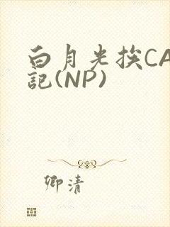 白月光挨CAO记(NP)