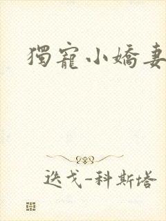 独宠小娇妻