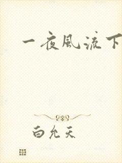 一夜风流下载