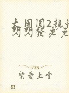 大团圆2亲情会闪闪发光免费