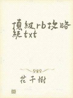 顶级rb攻略系统txt