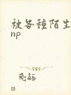 被各种陌生人 np