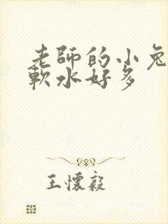 老师的小兔子好软水好多